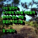 바람그늘