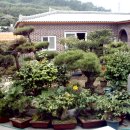 우림장민박 이미지