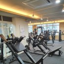 DYB GYM & QTP GYM 네이버블로그