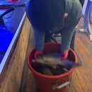 낭만물고기실내낚시카페 이미지