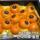 구면농장 | 전남 영광 천혜향 맛집, 천혜향 택배 &#39;안다미로 농원&#39;