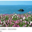 Naver.com ~ 아름다운 한국 이미지