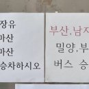 천일여객 영산정류소 이미지