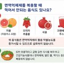 면역억제제 복용 주의사항 이미지
