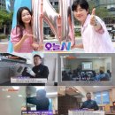 세아제빙기 | 천안 카페 호시자키 제빙기 분해청소 후기｜겉은 멀쩡, 내부 오염은 충격 수준
