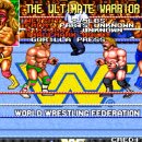 추억의 오락실 WWF 게임 이미지