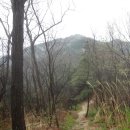 야은초교 이미지