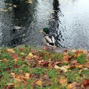 조현우정신건강의학과의원 이미지