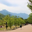 설악가든리조텔식당 이미지