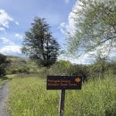 동화 속 친구들과 떠나는 수학여행 | 남미여행33) 토레스 델 파이네 W 트래킹 1일차 : 10시간 산행 끝에 그 유명한 Las Torres, 삼봉을 보다.