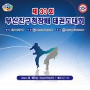 국제키즈태권도 네이버블로그
