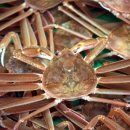 덕성호수산 이미지