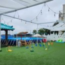 개꿀하우스 이미지