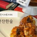잔잔한숲