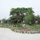 우리조경 이미지