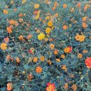 공원남자경로당 이미지