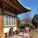 꽃과 한옥 이미지