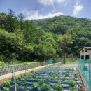 타임펜션 이미지