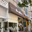송도그 | 인천 송도 애견미용샵 센트럴파크역 애견미용샵 송도그 포메라니안 곰돌이컷 머드팩 솔직후기 (귀여움...