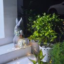 화이트래빗 풀빌라 이미지