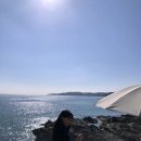 해맞이로L 이미지