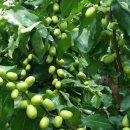 충렬농장 이미지