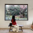 남원읍-24 | 제주 서귀포 남원읍 12월 가볼만한곳 동백꽃 스팟 동백포레스트 후기 - 애견동반 가능 🌺