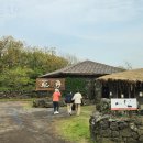 야원목장 이미지