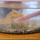 남원정통추어탕 이미지