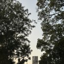 이지코스