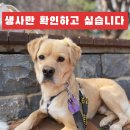 볼트