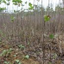 창영농장 이미지