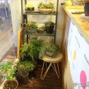 위드마카롱(with마카롱) 이미지