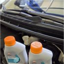 킴스모터스 이미지