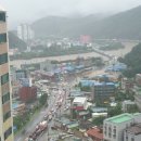 가평흑염소농장 이미지