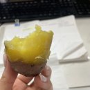 왕왕상사 | [26.01.26~02.01] 4 이번주는 한마디로 포도빵집과 온천힐링