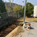 포지 피티 스튜디오 이미지