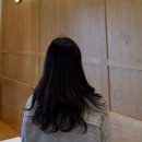 (주)콘디코리아 | 극손상 모발 복구템 머릿결 관리에 좋은 단백질트리트먼트 추천 콘디슈퍼원샷 헤어트리트먼트 S.O.S