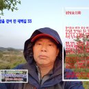 금문 이미지