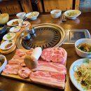 암돼지한판 이미지