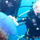 (주)펀섬 이미지