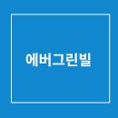 에버그린빌 티스토리
