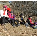 쇠    미 이미지