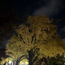 성균관로14길 이미지