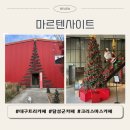 하빈로 | [대구 대형트리카페] 마르텐사이트 : 트리 포토존 &amp; 연말 데이트 코스 추천