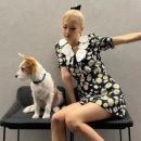 로제펫샵 이미지