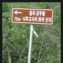 칠곡 금무봉나무고사리화석산지 이미지