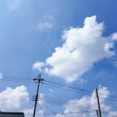 승철이네칼국수 네이버블로그