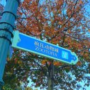 사이버랜드 | 나홀로 상하이 🇨🇳 Ep.3|디즈니랜드 후기&amp;꿀팁