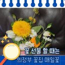 매일 꽃 | 어머님 생신선물로 감동 꽃다발 준비했어요 – 의정부 꽃집 ‘매일꽃’ 후기